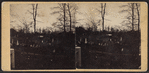 View in Greenwood Cemetery.