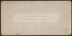 Chestnut Hill, Greenwood Cemetery, Brooklyn, N.Y.