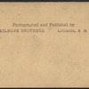 View from Landscape Avenue, Greenwood Cemetery, Brooklyn, N.Y.