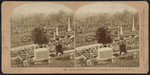 Henry Ward Beecher's grave, Greenwood Cemetery, N.Y., U.S.A.