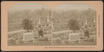 Henry Ward Beecher's grave, Greenwood Cemetery, N.Y., U.S.A.