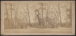 View in Greenwood Cemetery.