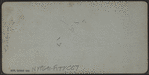 Bathing scene, Coney Island.
