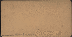 A drowned boy at Coney Island.