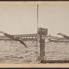 Man diving, Coney Island.