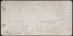 Panorama from Post Office, New York.