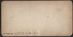 Panorama from W.U. Telegraph Office, N.Y.