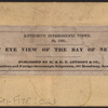 Bird's eye view of the bay of New York.