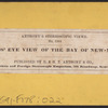 Bird's eye view of the bay of New York.