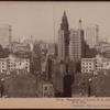 Panorama of Lower N.Y., from Produce Exchange, N.Y. City.