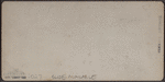 Paying the Election Bet, Nov. 14, 1872.