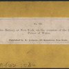 Scene on the Battery at New York, on the occasion of the Reception of the Prince of Wales.