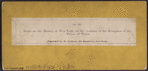 Scene on the Battery at New York, on the occasion of the Reception of the Prince of Wales.