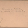 Grand Review, Decoration Day, New York, U.S.A.