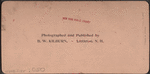 Grand Review, Decoration Day, New York, U.S.A.
