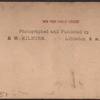 Grand Review, Decoration Day, New York, U.S.A.