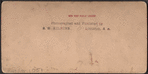 Grand Review, Decoration Day, New York, U.S.A.