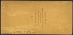 The "Broadway Bridge" cor. Broadway & Fulton St., N. Y..