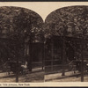 View on Fifth Avenue, New York[carriage in front of houses, trees in foreground].