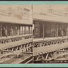 N. Y. elevated R.R., N. Y.