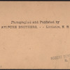 116th St. depot, New York elevated railway. U. S. A.