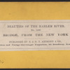 High Bridge, from the New York Side.