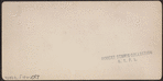 Castle Garden, New York[ view of grounds].