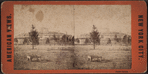 Castle Garden [view of grounds].