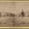 Castle Garden. New York City [view of grounds].