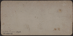 Castle Garden, New York [view of grounds].