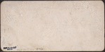 New York. Castle Garden [aerial view].