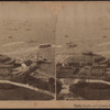 Castle Garden and Liberty Statue, New York [aerial view of harbor].