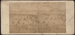 Crowd leaving the ground after the Regatta, July 4th, 1859.