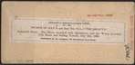 Animated Scene. The shore crowded with spectators and the water crowded with boats and sailing vessels, July 4, 1860.