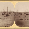 Waiting for the Regatta, July 4, 1859.