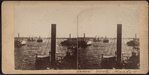New York Harbor.
