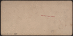 General view, Naval Parade, New York Bay.