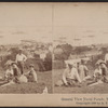 General view, Naval Parade, New York Bay.