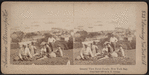 General view, Naval Parade, New York Bay.
