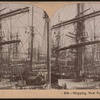 Shipping, New York City, U.S.A.