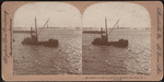 Statue of Liberty (New York Harbor), New York, N.Y., U.S.A.