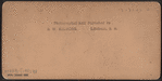 Bird's-eye view of New York Harbor, U.S.A.