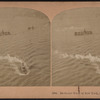 Bird's-eye view of New York Harbor, U.S.A.