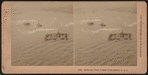 Bird's-eye view of New York Harbor, U.S.A.