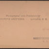 The Despatch with Pres. Harrison, in the Great Naval Parade. Centennial.