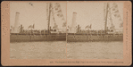 The Despatch with the high dignities aboad, Great Naval Parade, Centennial.