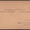 The Despatch, in the Great Naval Parade, Centennial.