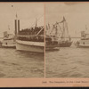 The Despatch, in the Great Naval Parade, Centennial.