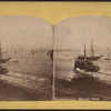 Instantaneous marine view.