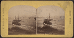 Instantaneous marine view.